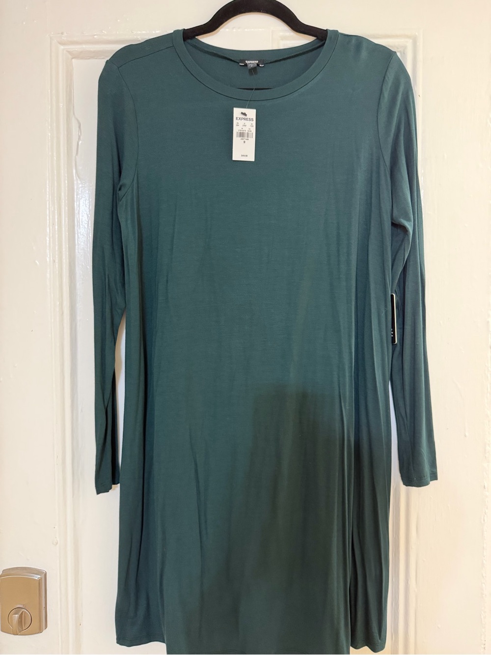 Express Women’s Long Sleeve Teal-Green Swing Dress
